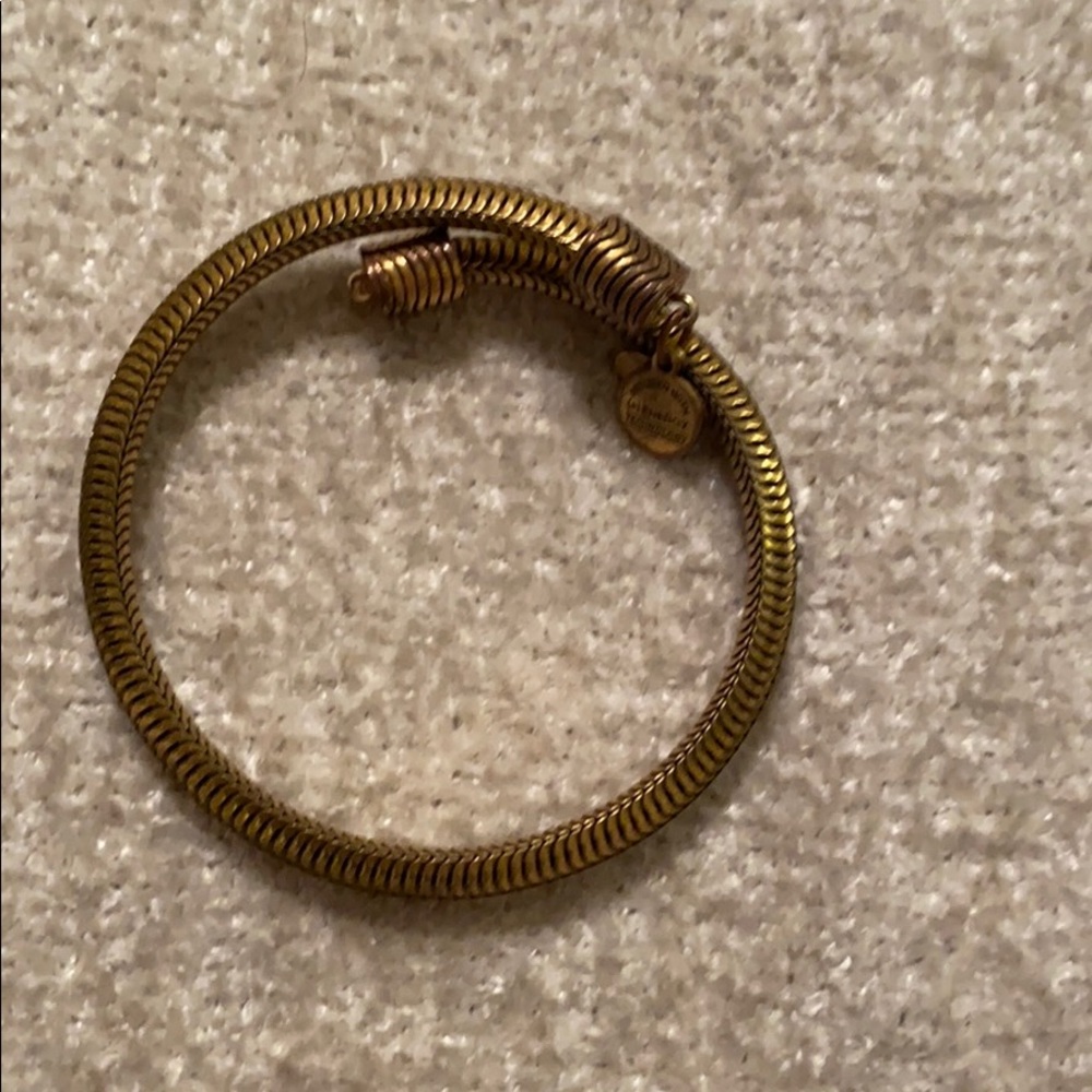 Alex and Ani wrap bracelet